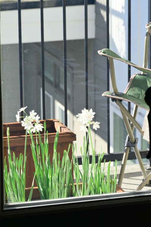 The Benefits of Urban Gardening and How to Start in Small Spaces