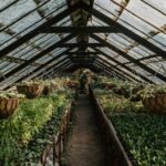 Tips for Creating an Inviting Outdoor Garden Space on a Budget